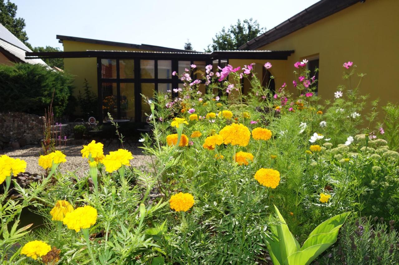 Ferienhaus "Am Gutspark" Alt Tucheband Exteriér fotografie