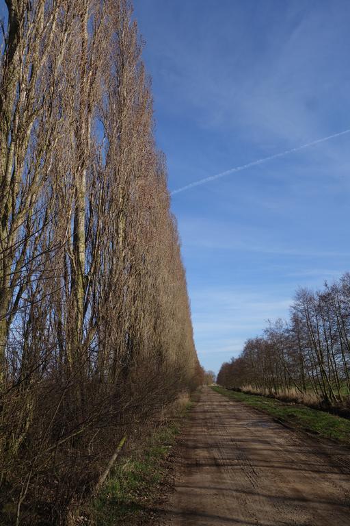 Ferienhaus "Am Gutspark" Alt Tucheband Exteriér fotografie