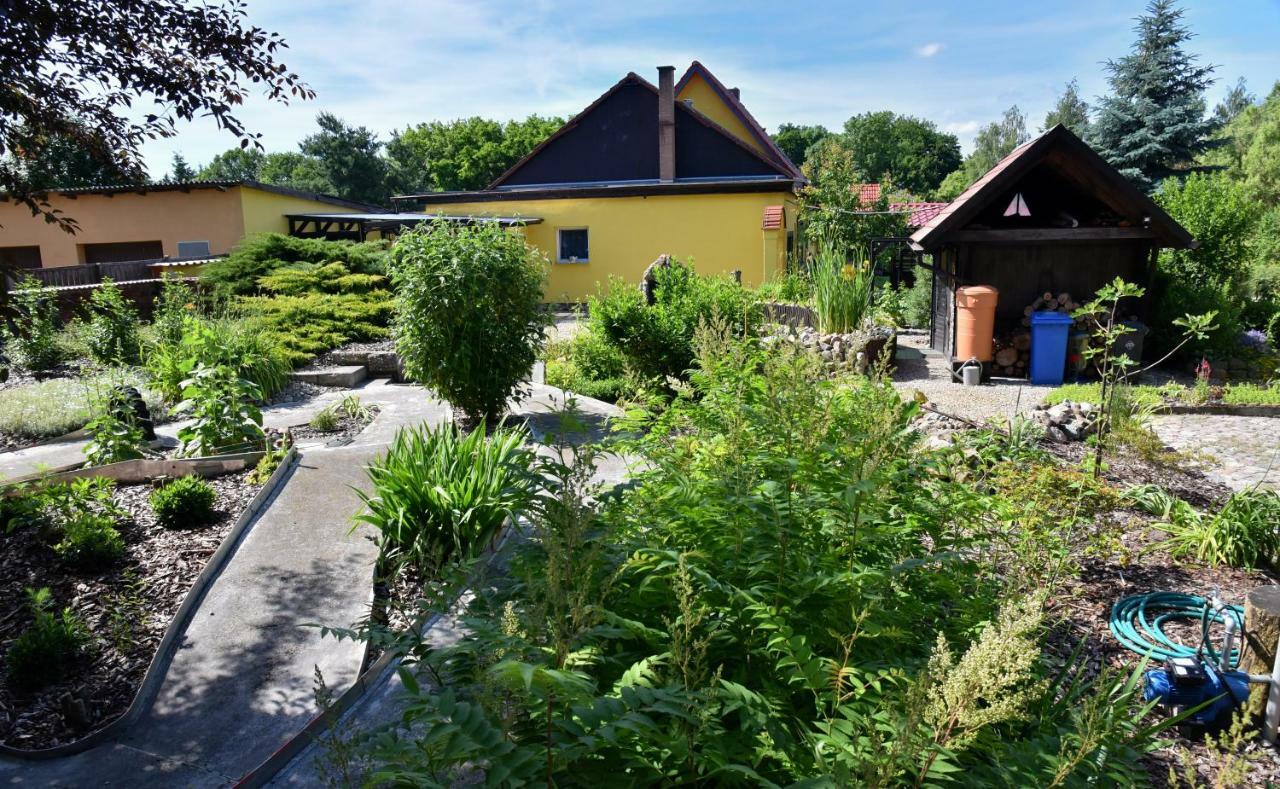 Ferienhaus "Am Gutspark" Alt Tucheband Exteriér fotografie
